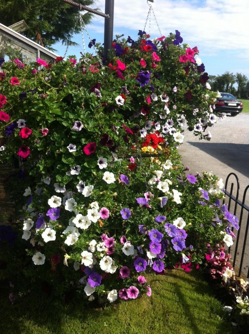 Hillview House Hotel Lusk Exterior foto