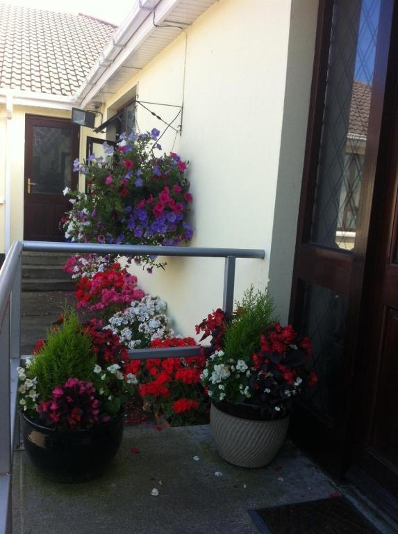 Hillview House Hotel Lusk Exterior foto